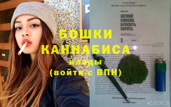 PSILOCYBIN Вязьма