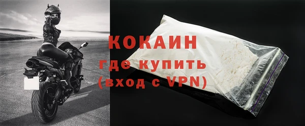 эйфоретик Тайга