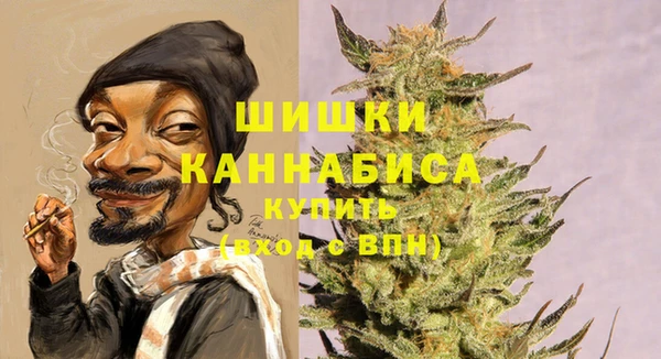эйфоретик Тайга