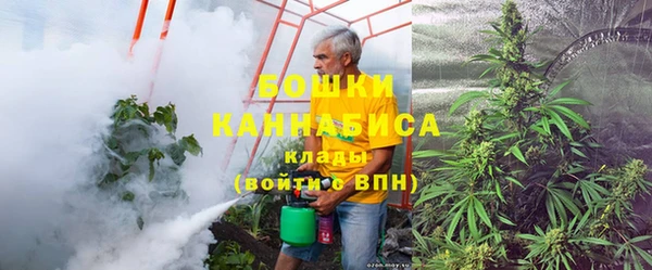 PSILOCYBIN Вязьма