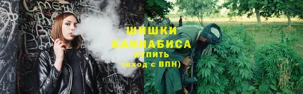 спайс Вяземский
