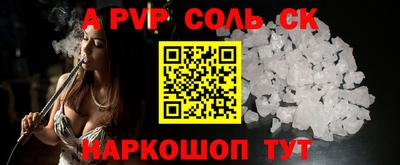 индика Камышлов