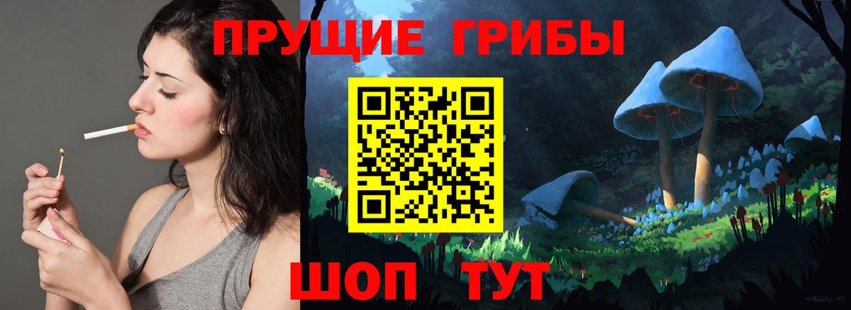 Галлюциногенные грибы прущие грибы Каменск-Шахтинский