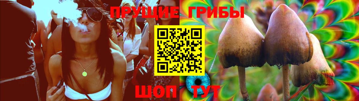 Псилоцибиновые грибы Psilocybe  Вход с VPN  Каменск-Шахтинский 